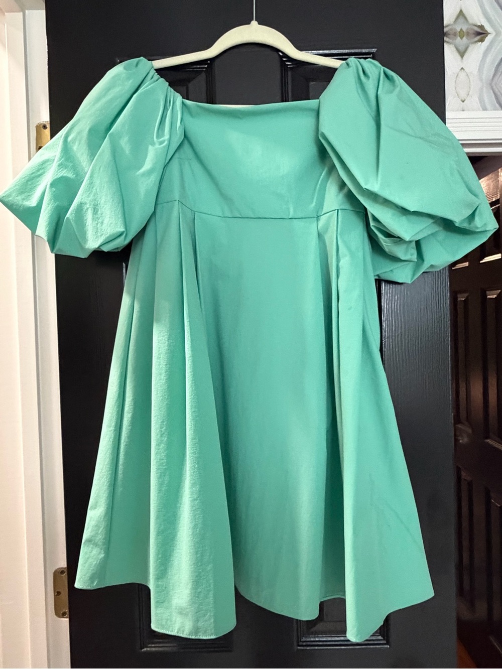 Puff-Sleeve Dress in Mint Green, Worn Once
